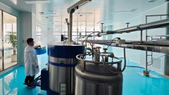 向新 向智 向强——2024年延边州工业经济